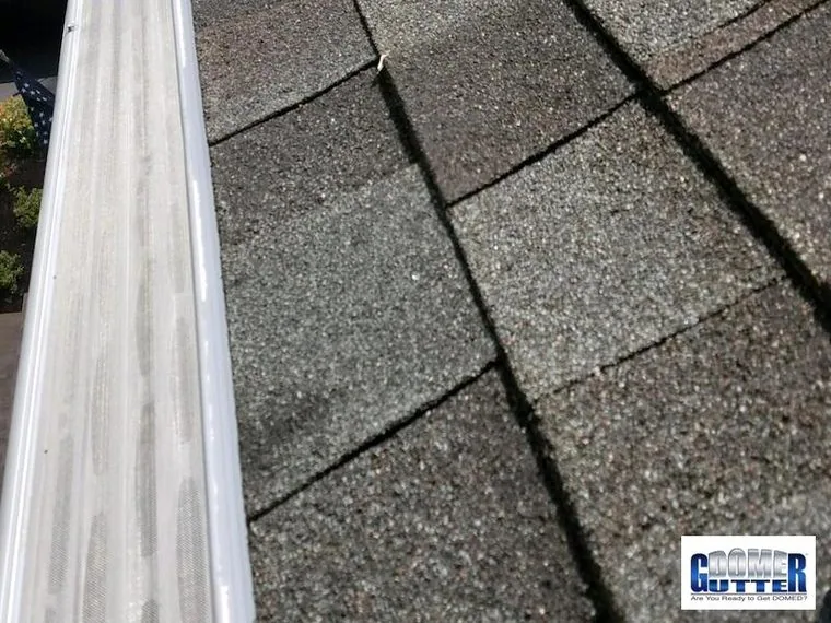 GutterDome gutter guard installed on a home, photographed from the street.