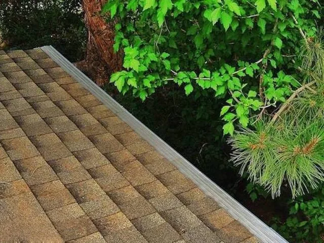 Leaves and pine needles on a comp shingle roof above a GutterDome-protected gutter run.