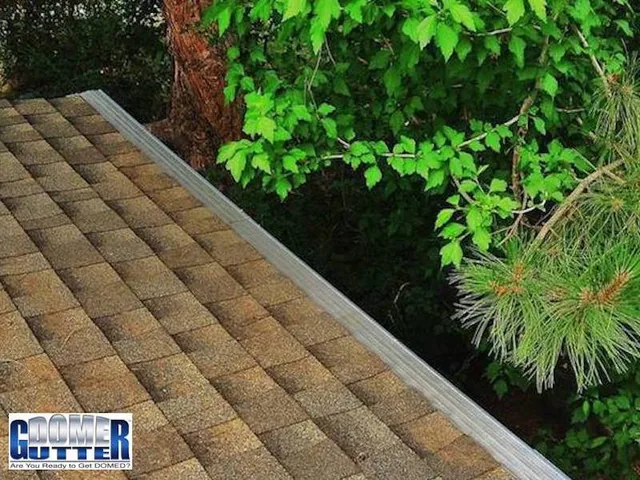 Leaves and pine needles resting on top of a GutterDome GD45 extruded aluminum gutter guard on a comp shingle roof.