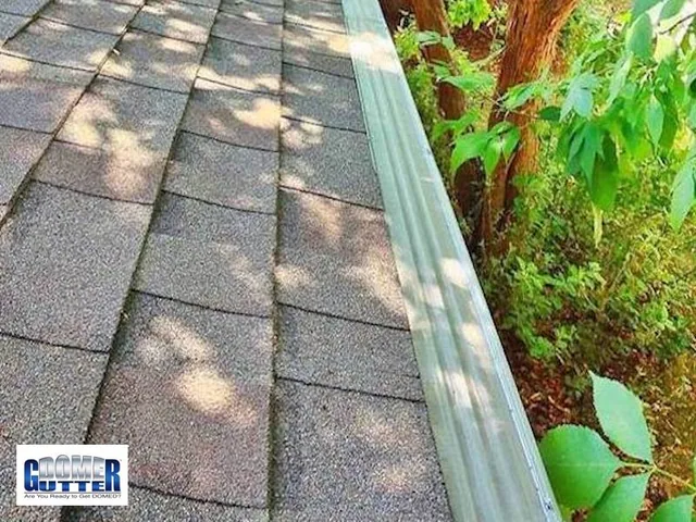 GutterDome GD45 gutter guard running along a comp shingle roof beneath mature trees.